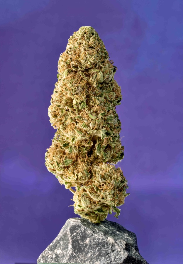 Skyworld Cannabis